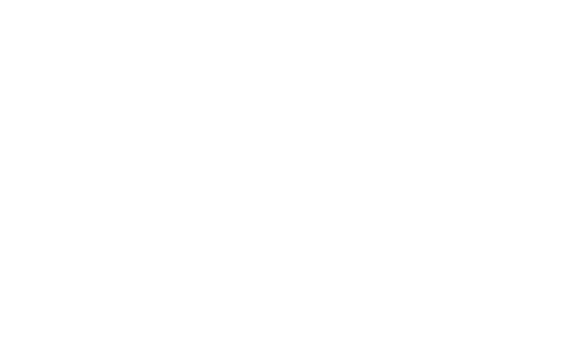 Pasini Mensi Drago